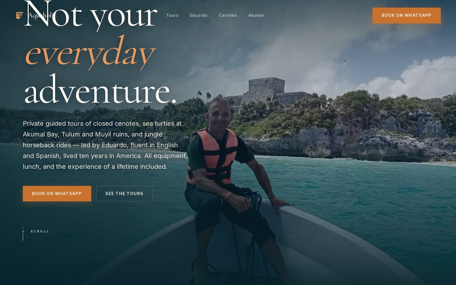 Aquaholic Mayan tours website homepage built by InboundControl